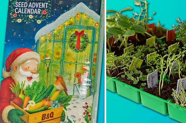 The calendar can be picked up for free using TopCashback at B&Q