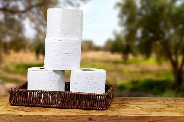 whicker basket with rolls of toilet paper on wooden board table with copy space and near blur olives field background