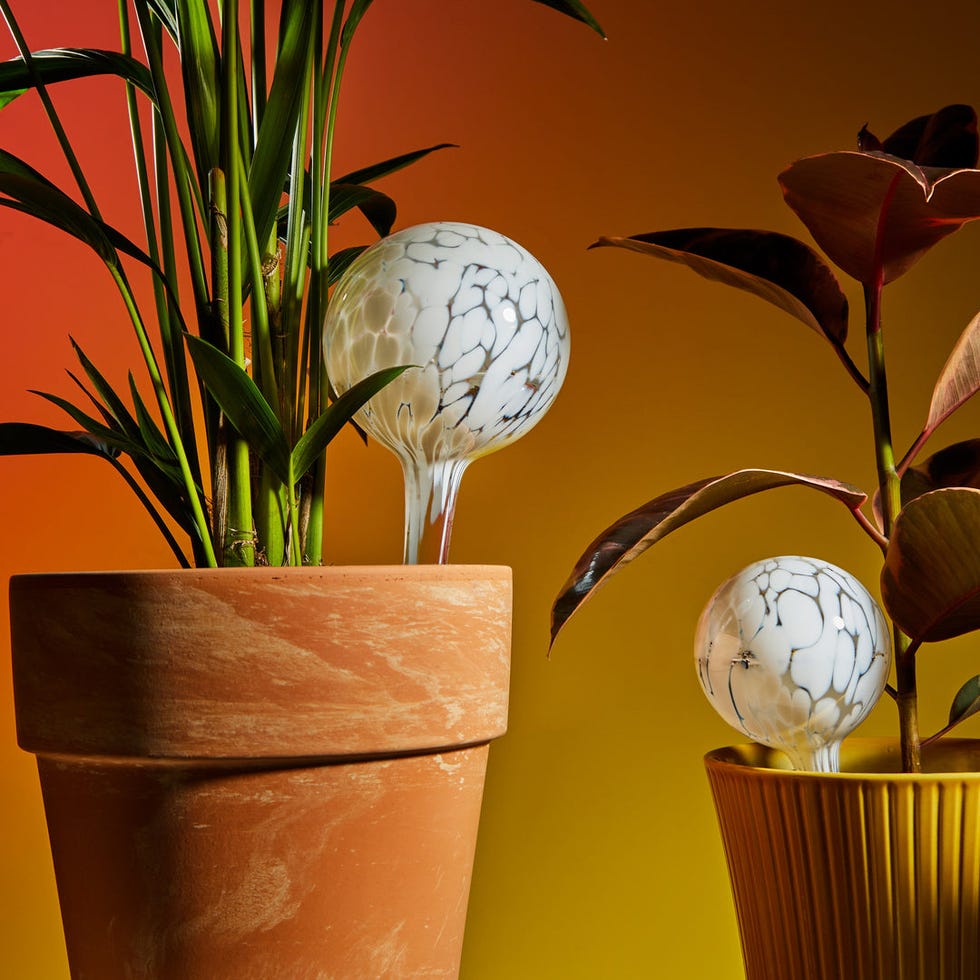 Hand-Blown Crystal Water-Diffusing Globes
