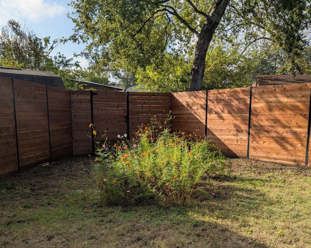 Cooler weather has my meadow blooming Cooler weather has my meadow blooming
