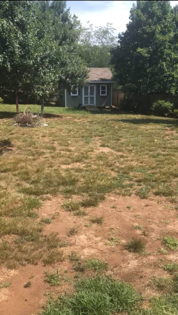 3 years ago to late summer this year