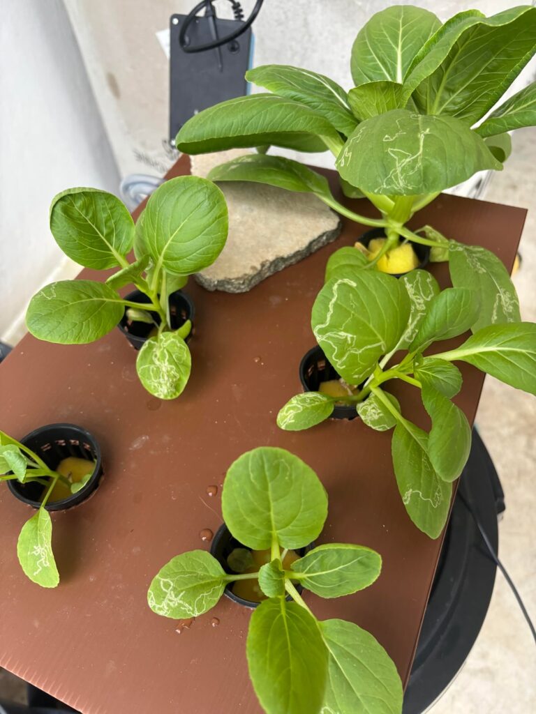Need help!