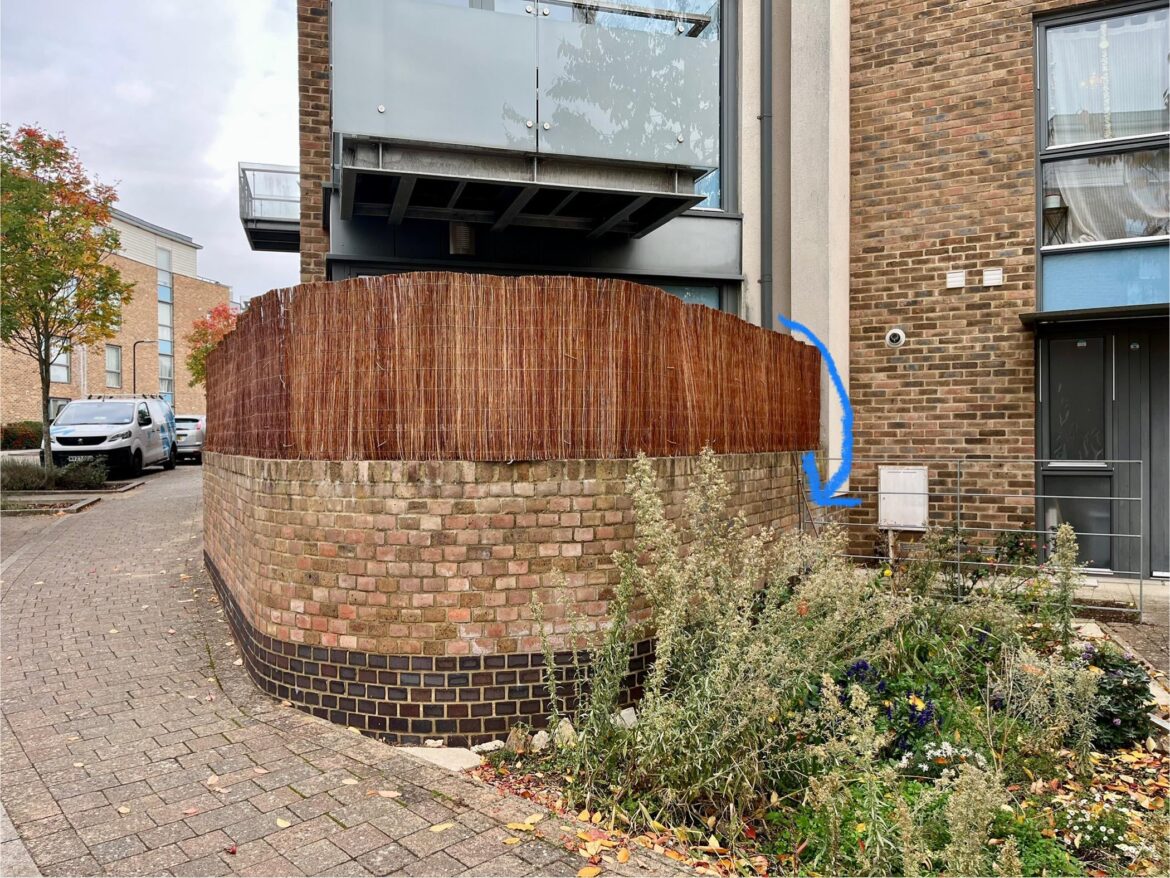 What’s the best climber for this space?