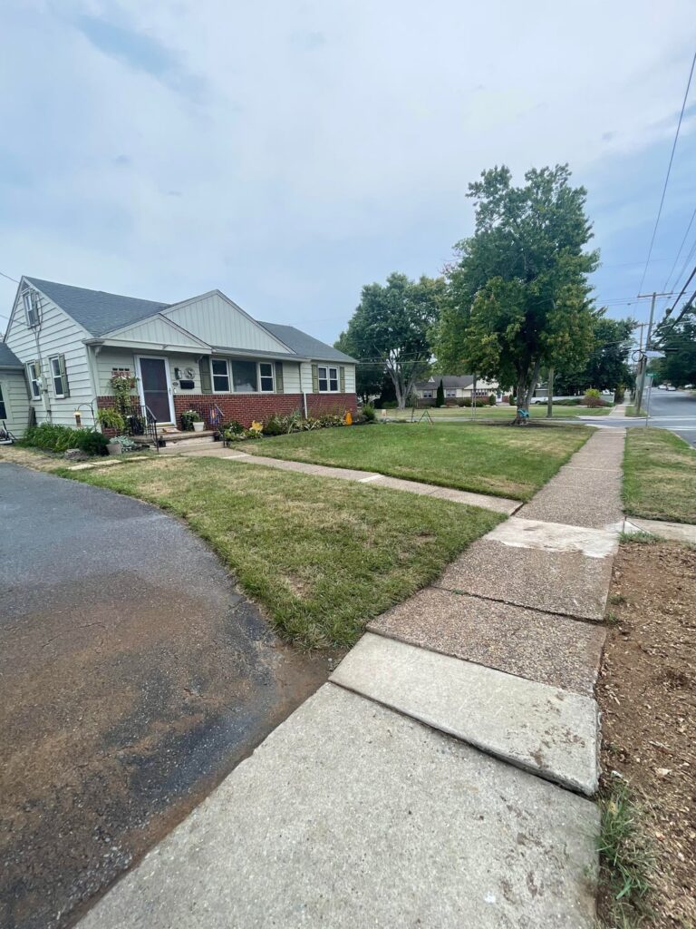 Before / After— Laid down Black Beauty TTTF + KBG blend a month ago. Zone 7a , South Jersey USA.