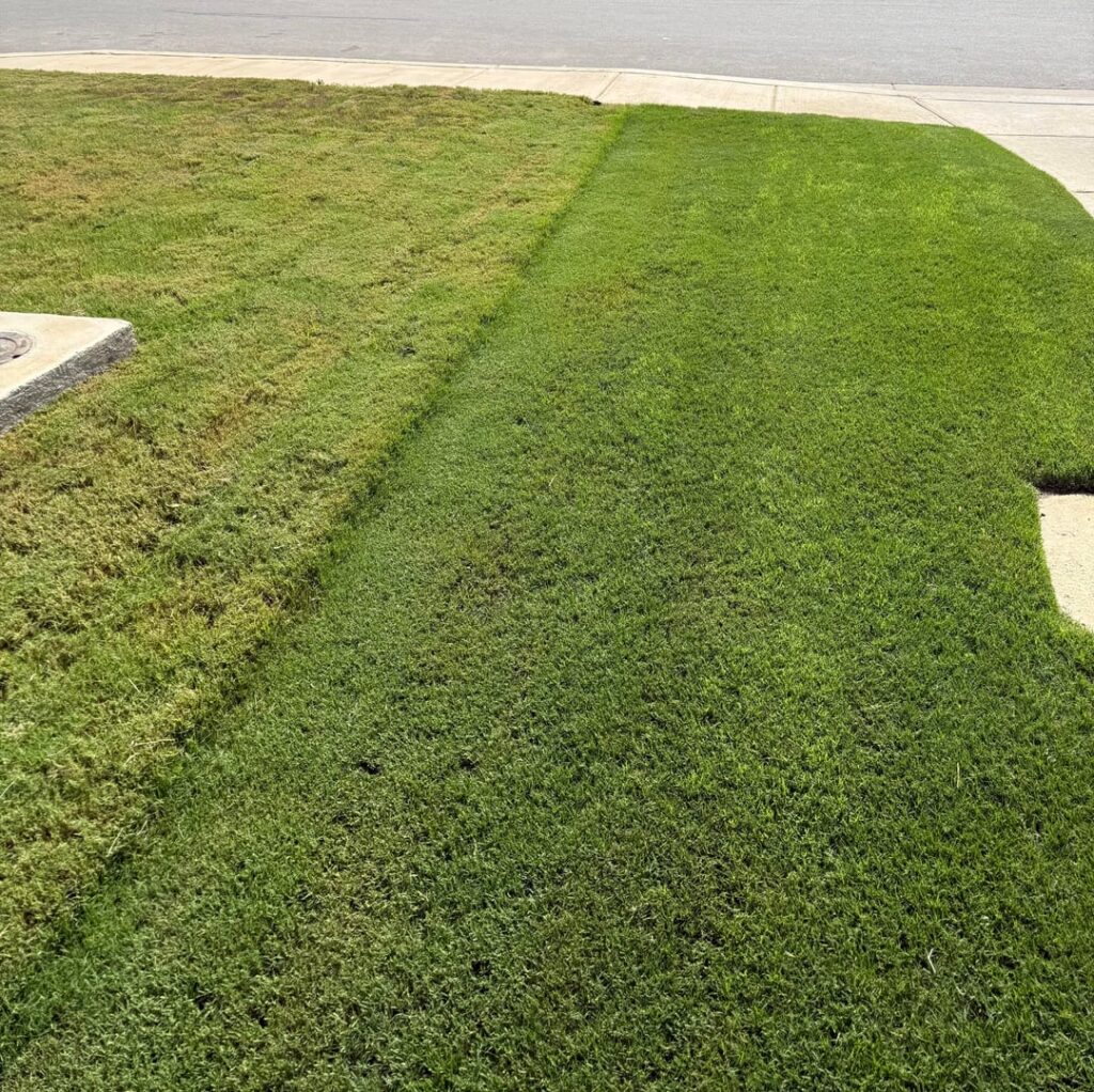 First time having a domination line