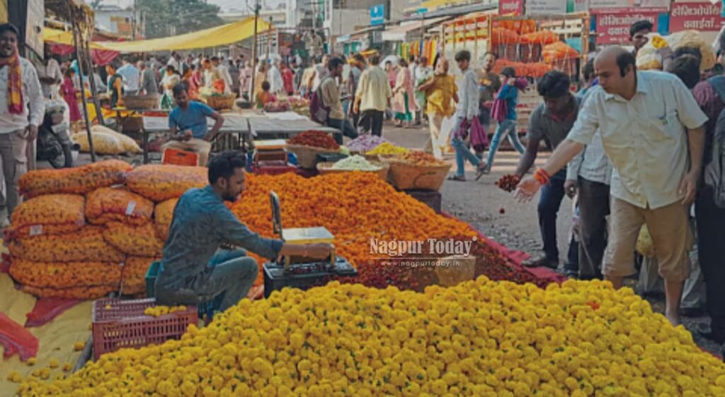 Massive Rush at Nagpur’s Flower Market; Marigold, Chrysanthemum, and Lotus in Huge Demand! Massive Rush at Nagpur’s Flower Market; Marigold, Chrysanthemum, and Lotus in Huge Demand!
