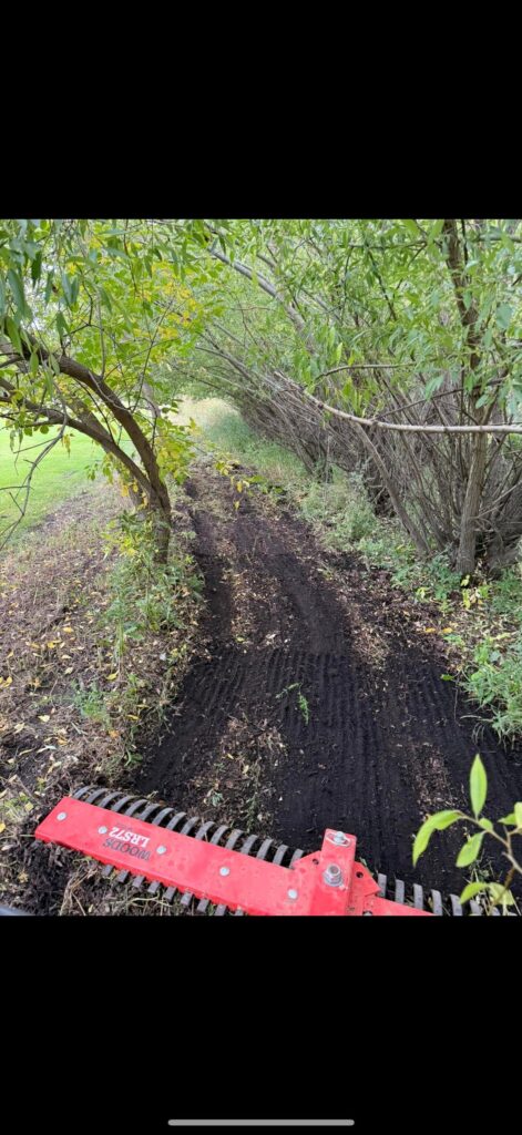 Hey all! I’m looking for native plant/grass mix to plant in my shelter belt around my yard.