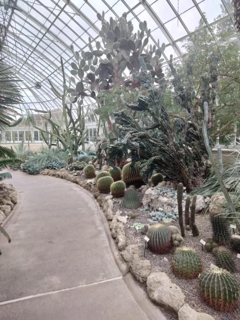Visit to the NYBG Collection yesterday...