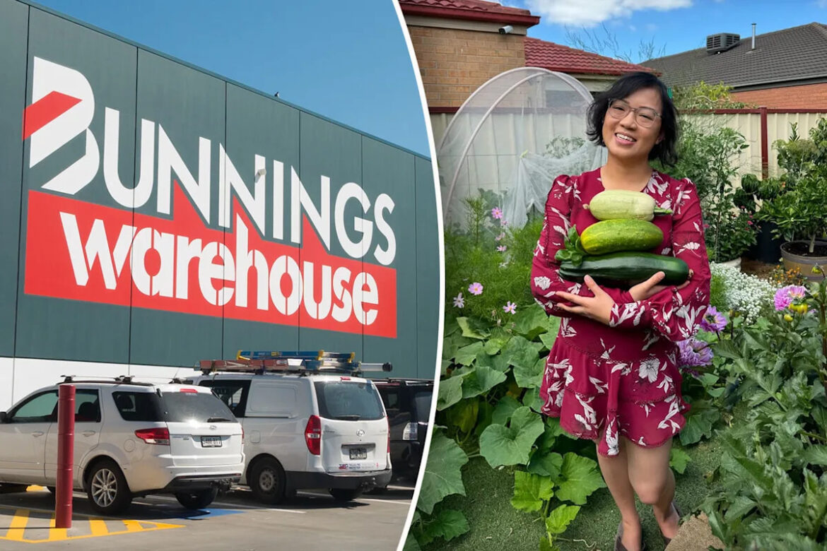 Aussie mum’s $16 Bunnings find helps feed family from garden after backyard transformation: ‘Easy’ Yahoo lifestyle home