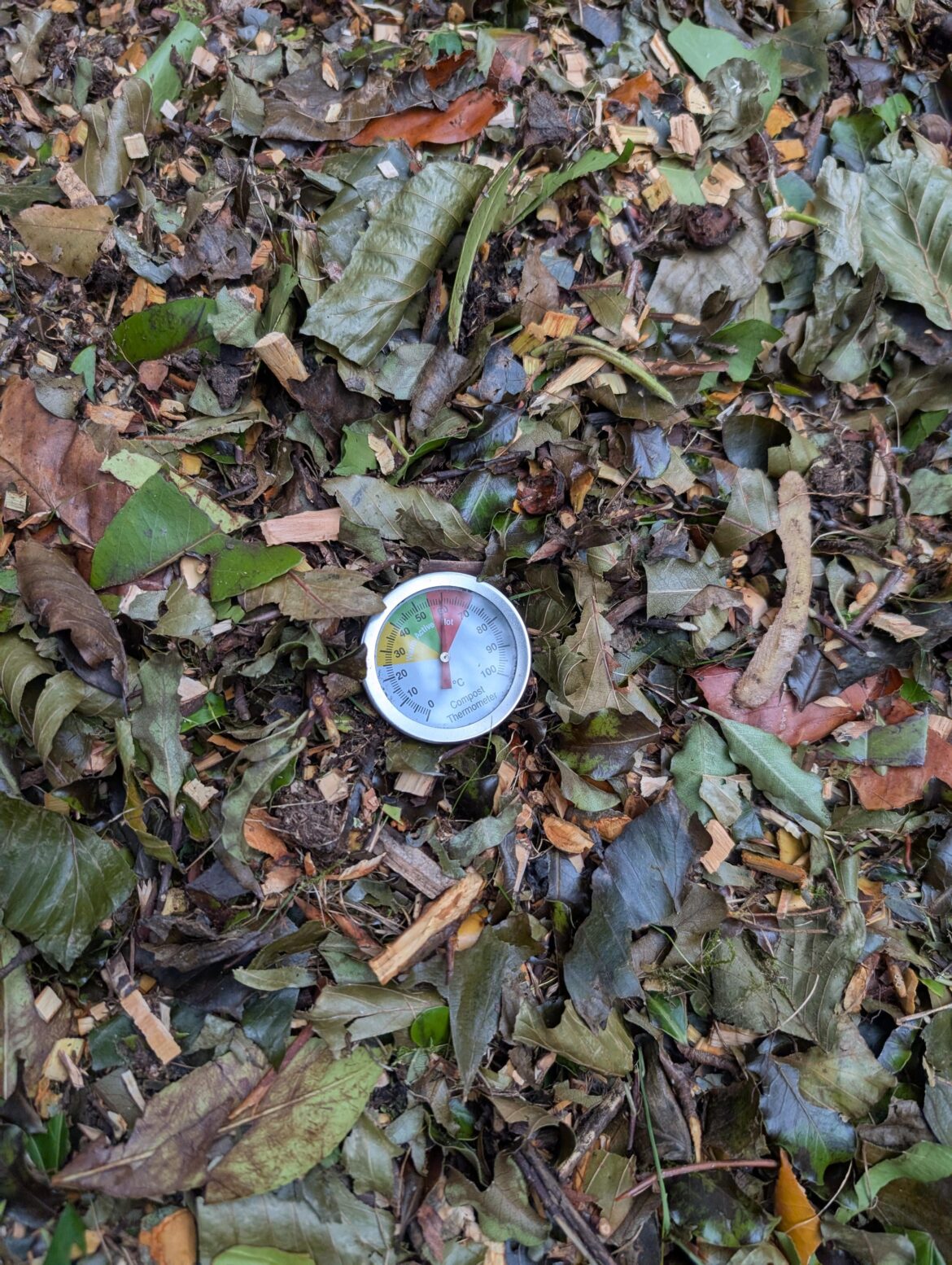I just hit my all time home compost peak temp