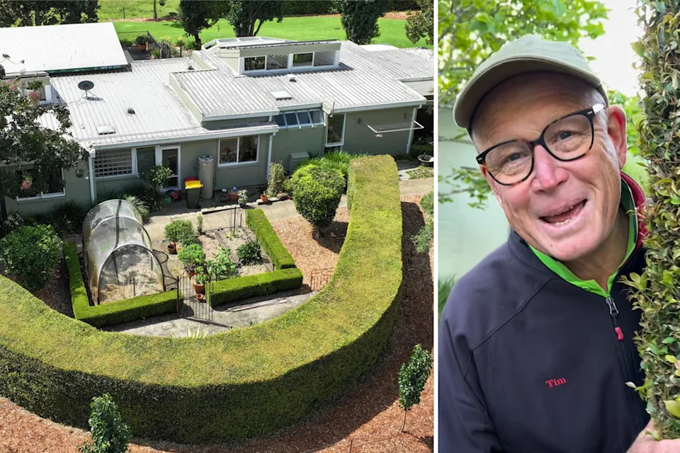 A home with a Goodbye neighbour plant erected around the perimeter of its yard (left) and Tim Pickles smiling coming from behind one of the hedges (right). 