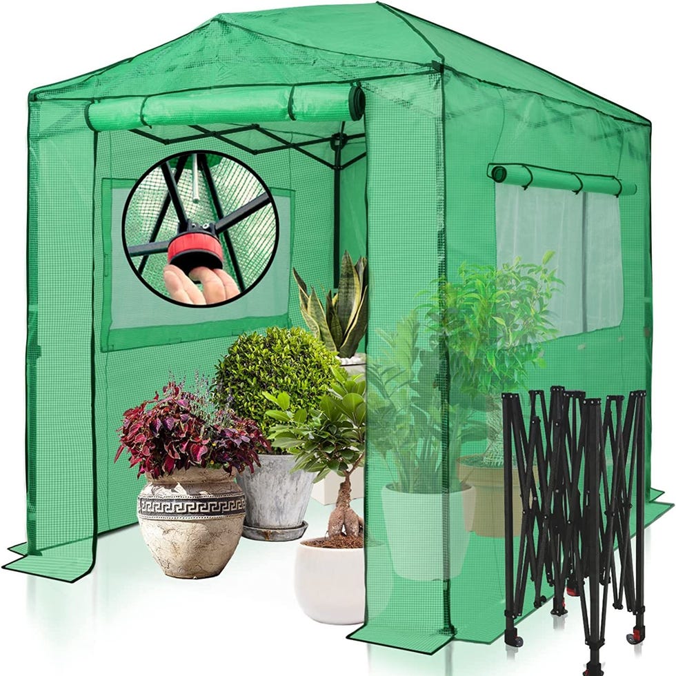 8'x6' Portable Walk-in Greenhouse