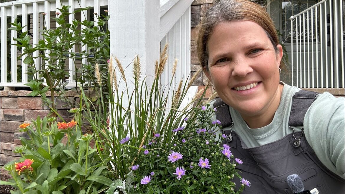 FALL PLANTER W/ A FIELD TRIP TO SEE THE KITTY CATS! 🐈🌻