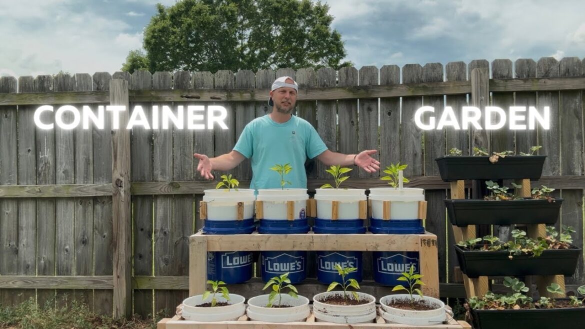 DIY Container Garden – Update DIY Container Garden - Update