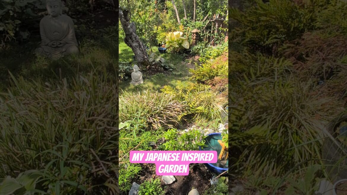 My Japanese Inspired Garden #japanesegardens #japanesegarden #garden #gardening #flowers #tree #fyp