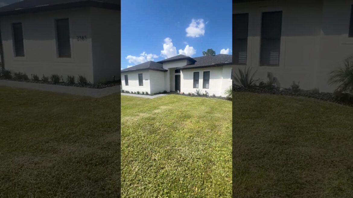 Front Yard transformation with Pebbles, Plants & Lights | Stunning Landscaping Makeover! #lawnzcapes