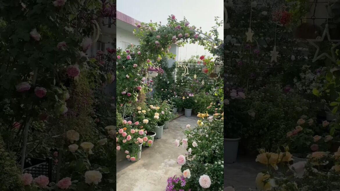 Sweet Garden Vibes You'll Love 🌼🌱#gardening #gardendecor #vibes #plants #asmr #oasis #inspiration