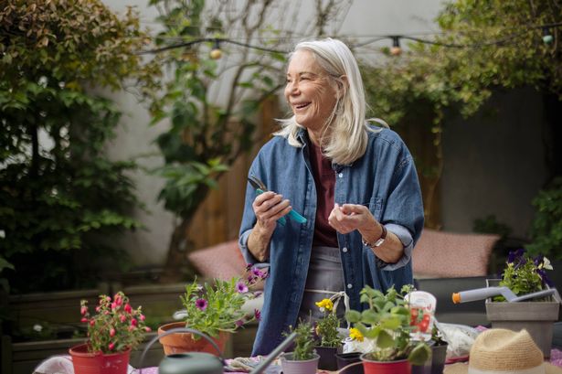 A senior beautiful woman planting flowers on her patio