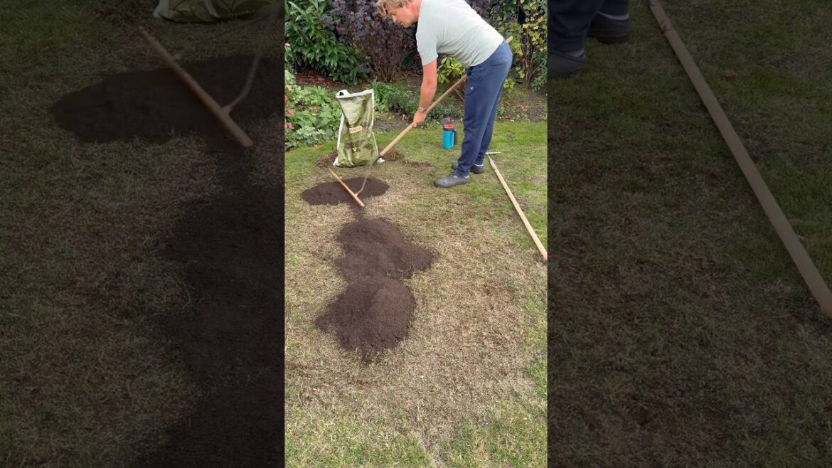 Autumn Lawn Care Jobs Autumn Lawn Care Jobs