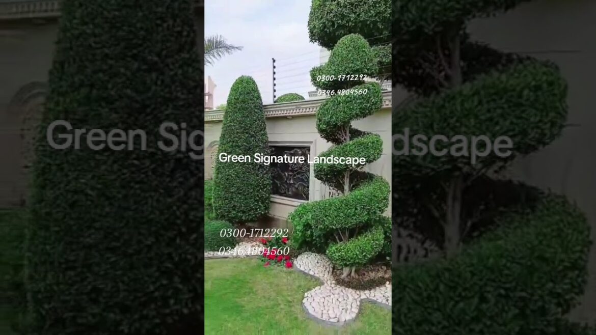 beautiful Landscaping outside garden #design #gardenlandscaping #garden #tiktok #reels #plants