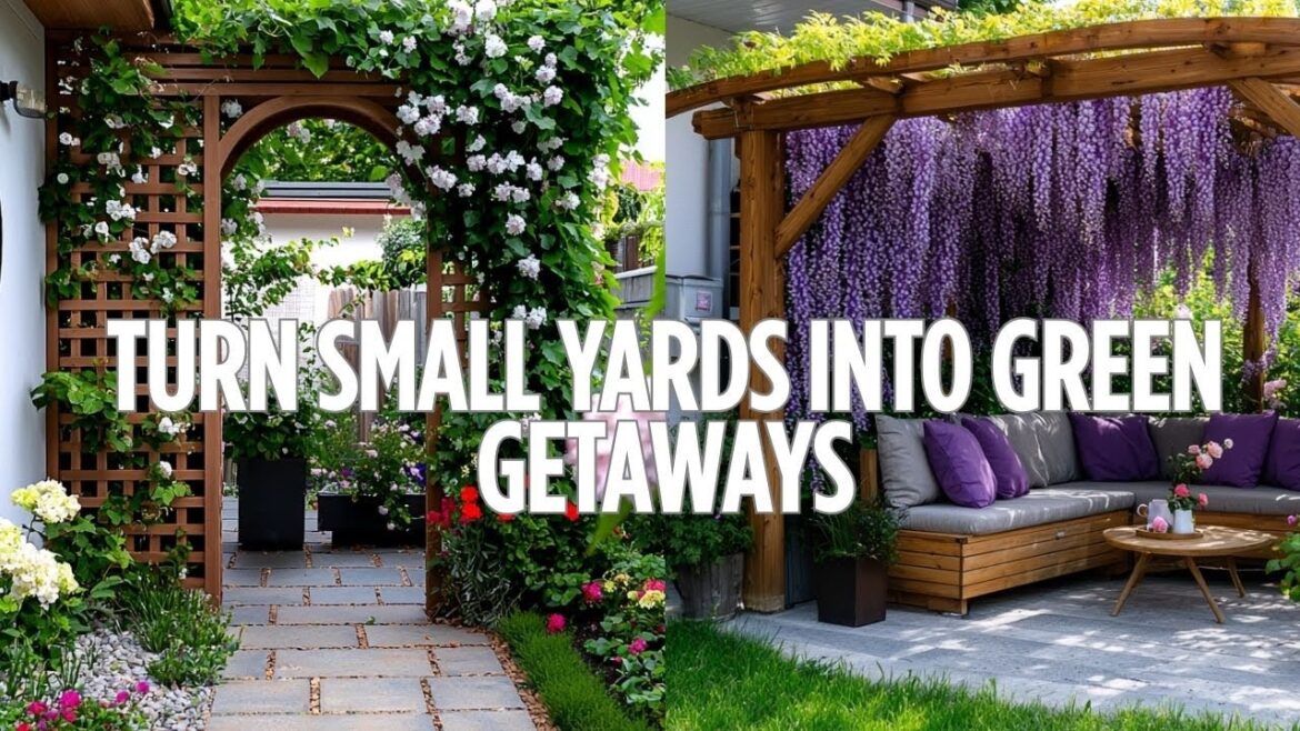 Small Backyard Landscaping Ideas to Create a Lush Outdoor Retreat Small Backyard Landscaping Ideas to Create a Lush Outdoor Retreat