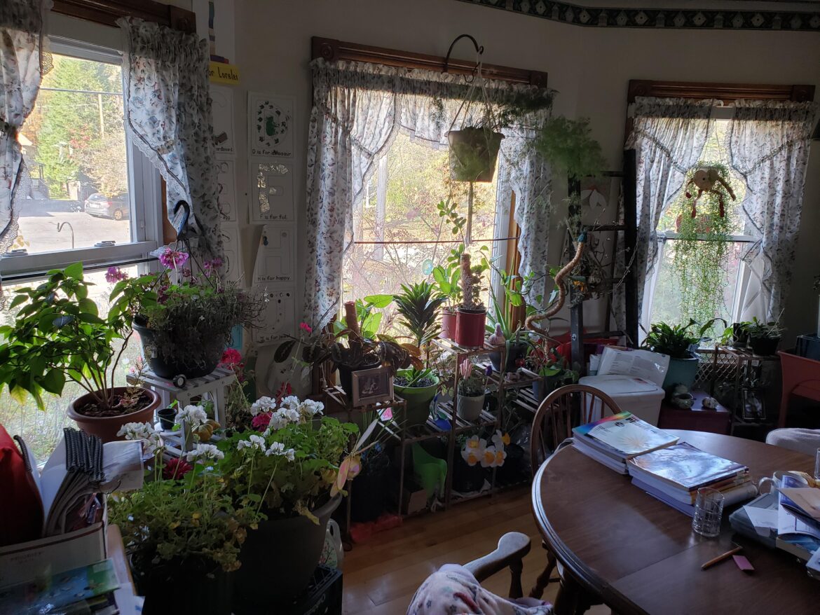 This is my solarium...I mean, my dining room...