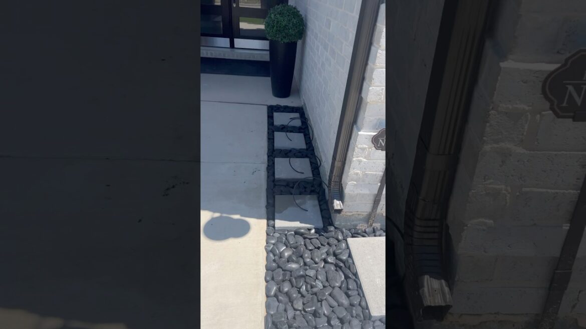 🤩Front Yard Transformation!👩🏼‍🎨#2025 #landscaping #garden