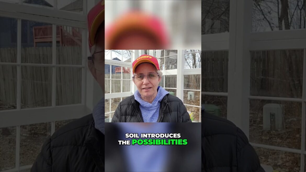 The Ultimate Guide to Choosing the Right Seed Starting Mix #garden #shortsvideo