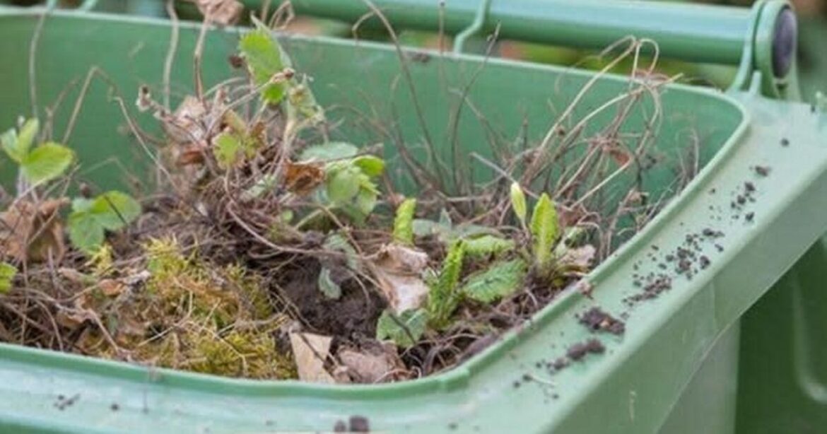 Dumfries and Galloway Council collects nearly 1,000 of garden waste in 2025 Ipso logo