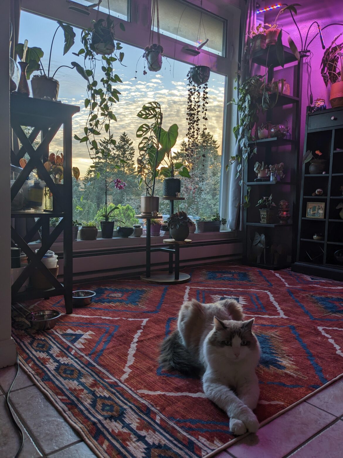 I am striving to make every corner of my new condo have as amazing vibes as this corner.