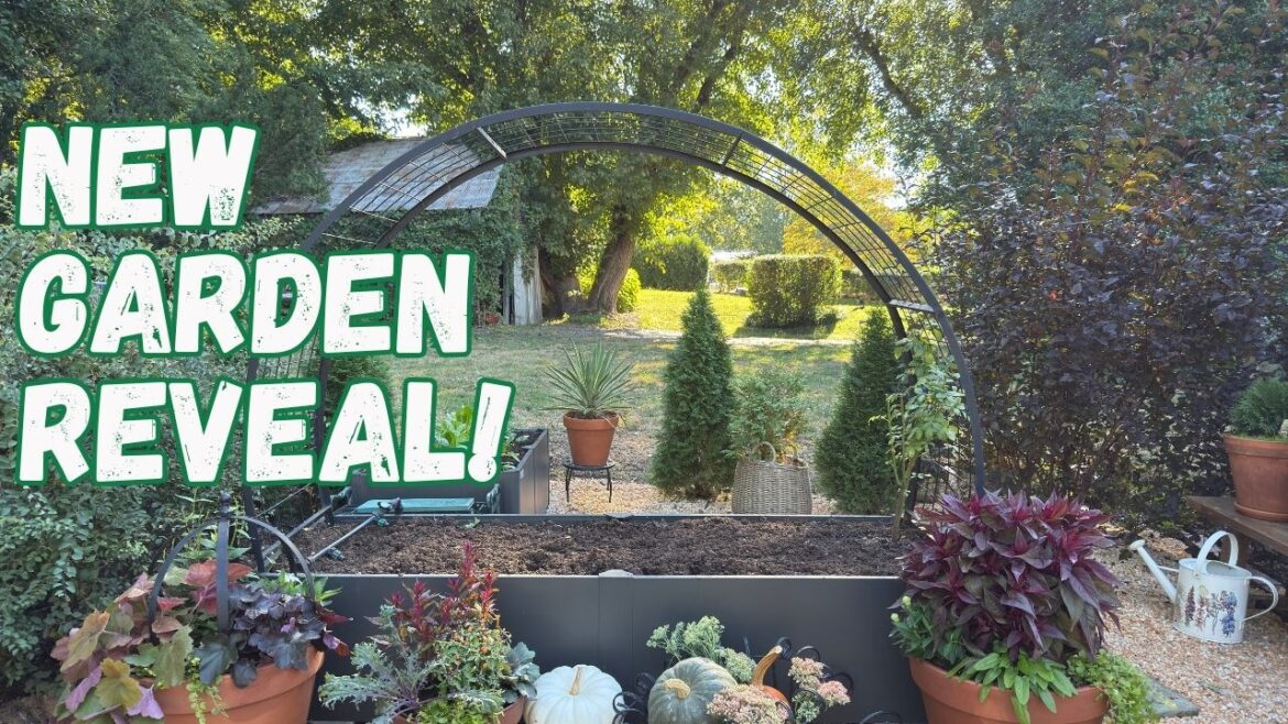 New Raised Bed Garden  | Creating Space for Cut Flowers | Vego Garden Raised Beds
