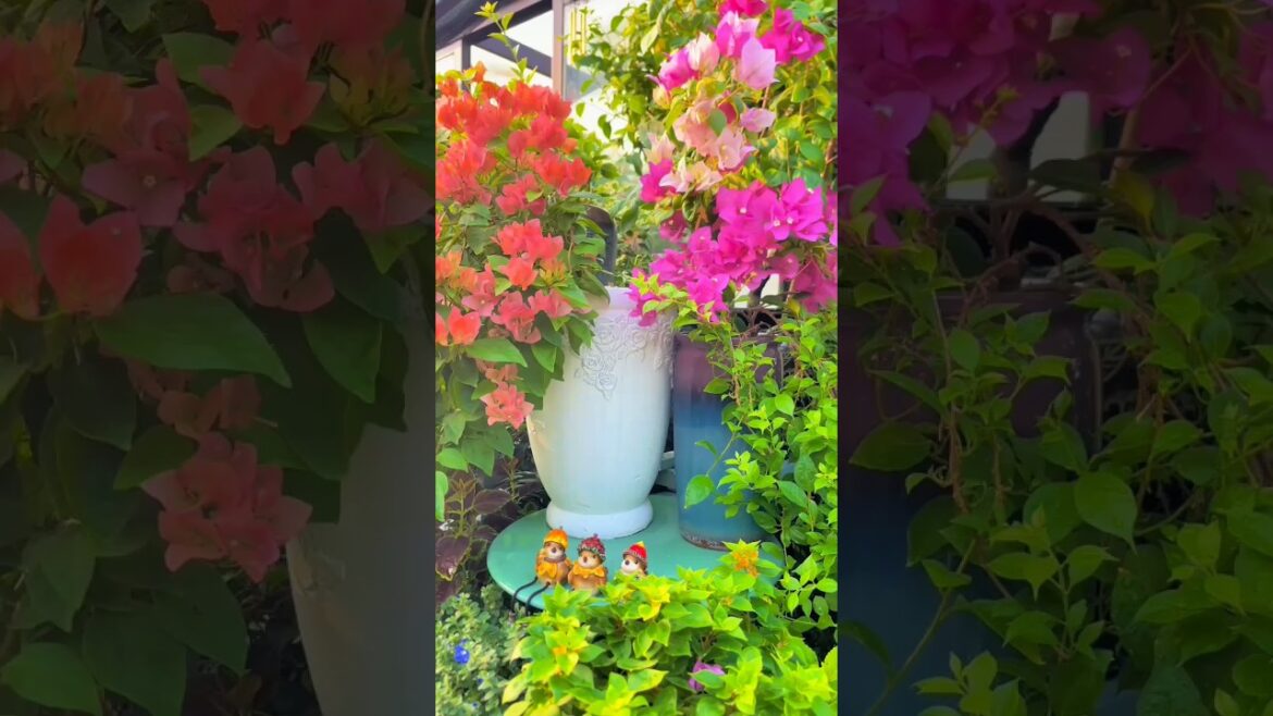 Vibes That'll Make Gardens Your Happy Place🌼🌿#gardendecor #gardening #plants #asmr #flowers #shorts