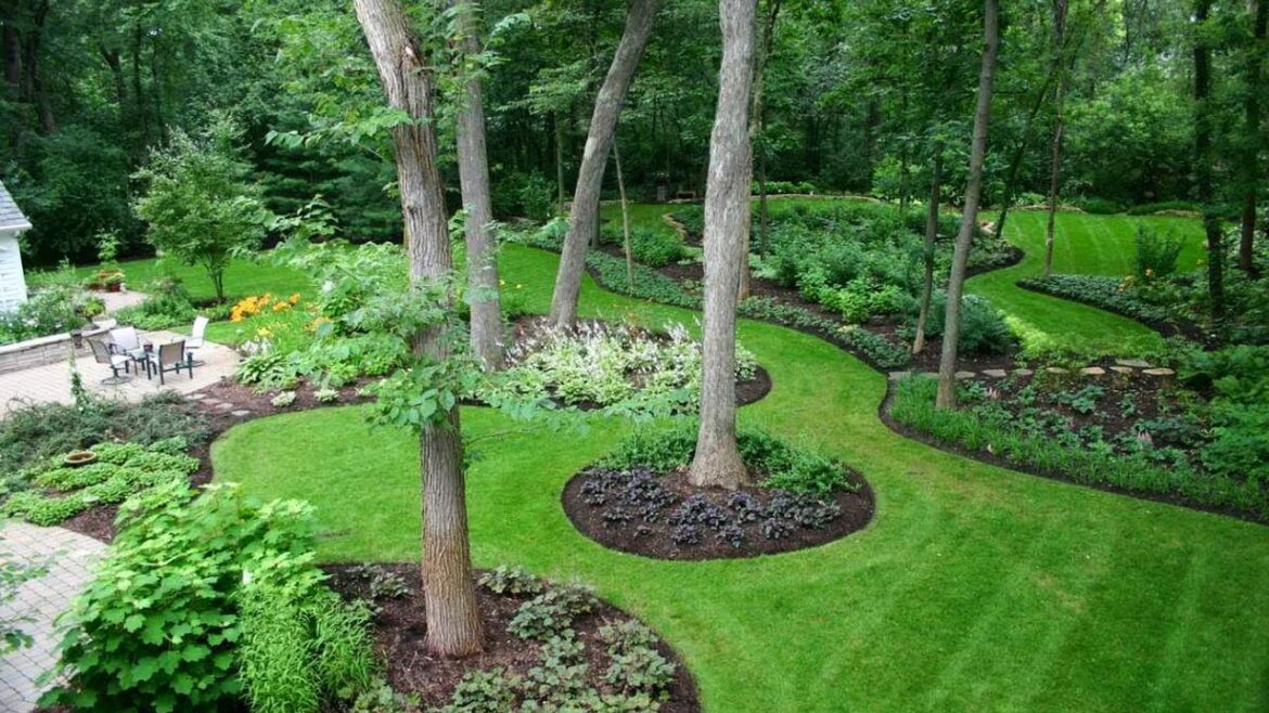 NATURAL! 100+ WOODLAND LANDSCAPING DESIGN IDEAS | BEAUTIFUL BACKYARD GARDEN AS WOODLAND RETREAT TIPS NATURAL! 100+ WOODLAND LANDSCAPING DESIGN IDEAS | BEAUTIFUL BACKYARD GARDEN AS WOODLAND RETREAT TIPS