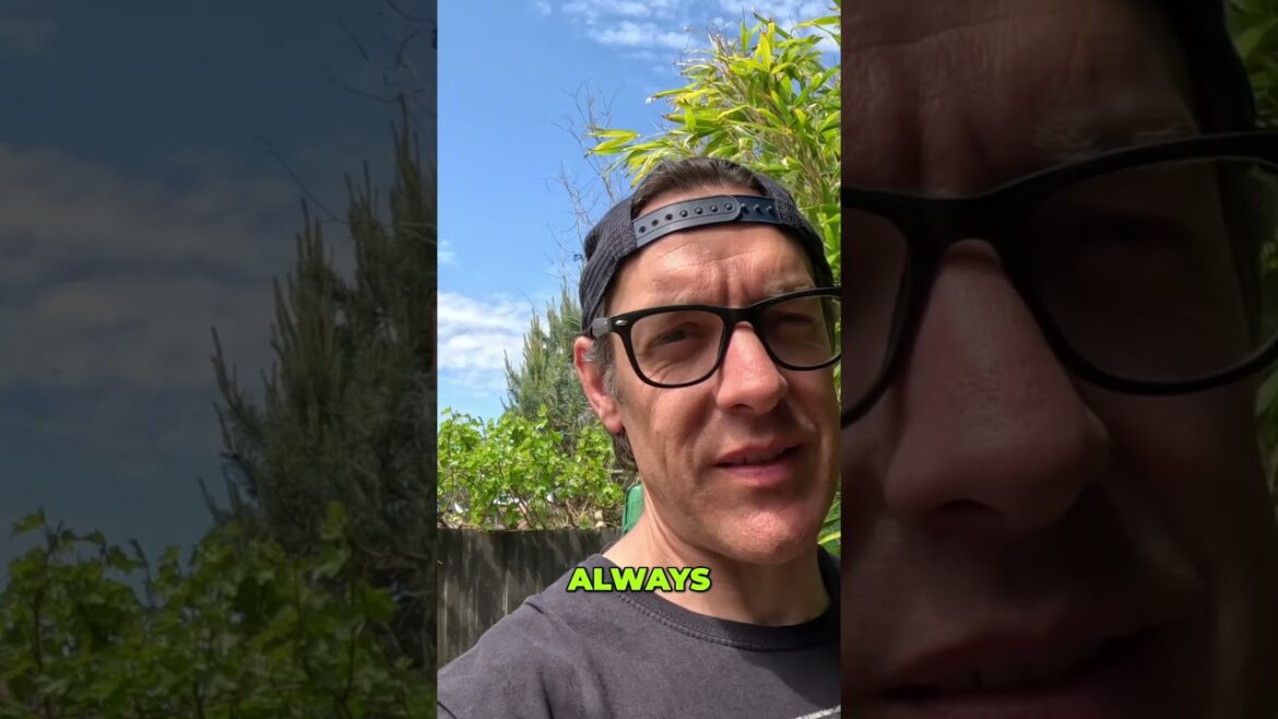 Alan Titchmarsh's Garden Tips Growing Veggies & More! #homeandgarden #homestead #homegrown