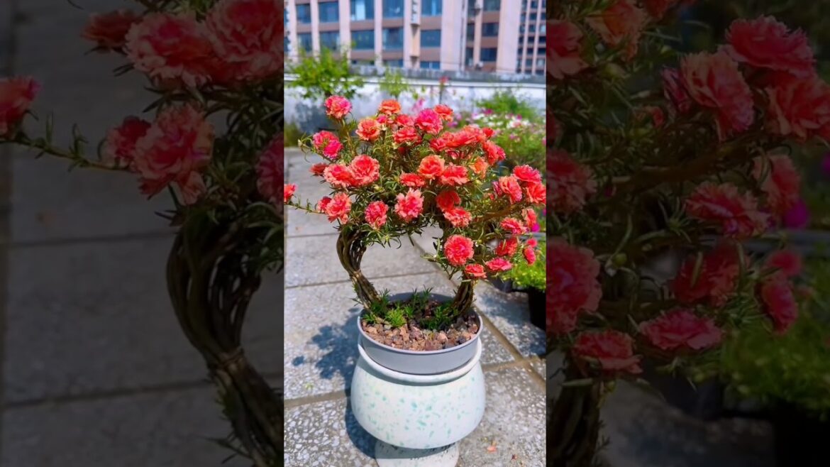 Garden Vibes for a Peaceful Soul🌱🌼 #garden #summergardening #nature #photography #asmr #plants