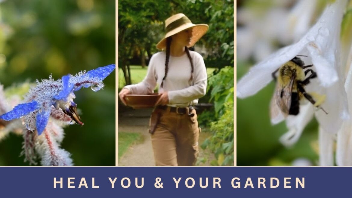 5 Powerful Edible Flowers 5 Powerful Edible Flowers