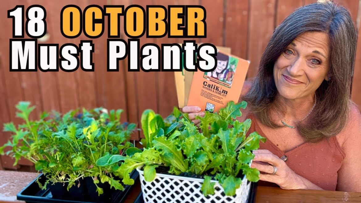 CaliKim: 18 October Must-Plant Vegetables You’ll Regret Skipping (No Matter Where You Live!) 18 October Must-Plant Vegetables You’ll Regret Skipping (No Matter Where You Live!)