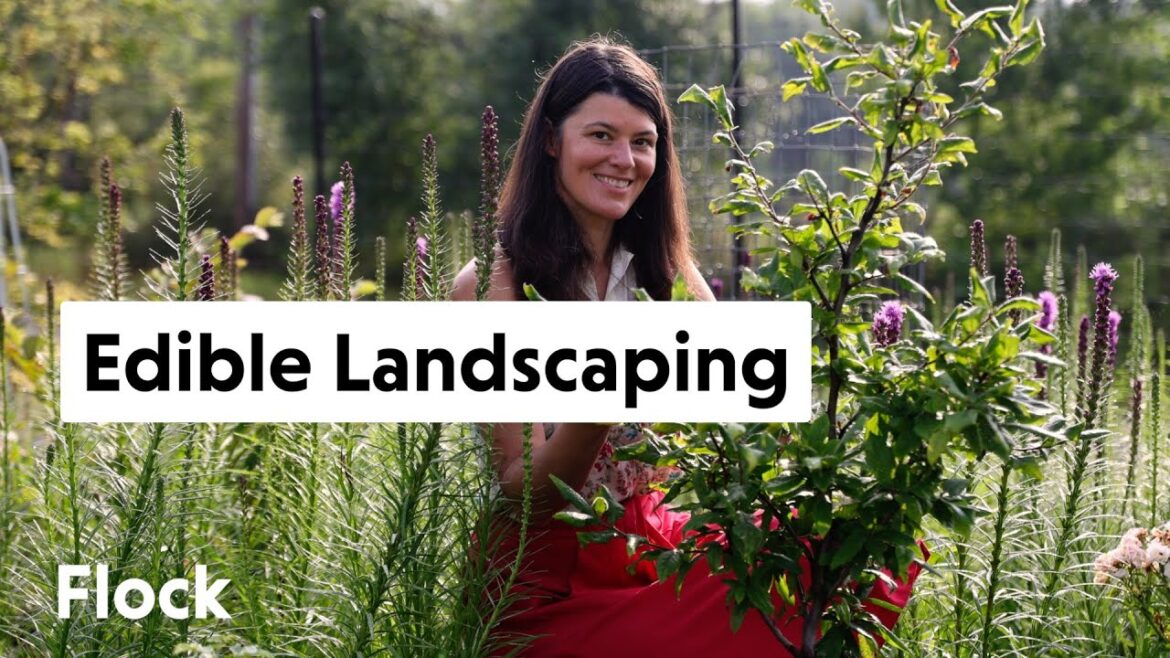 Edible Garden Tour ๐ซ ๐๐ฟ || Flock Finger Lakes Edible Garden Tour ๐ซ ๐๐ฟ || Flock Finger Lakes