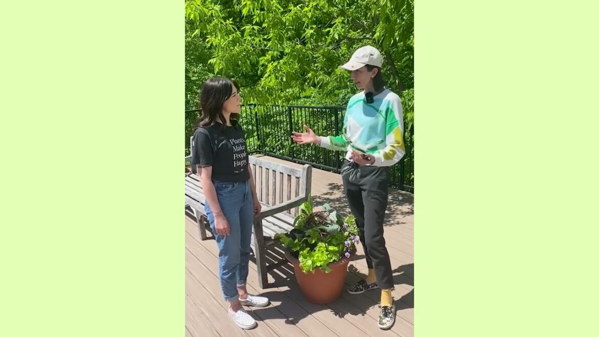 The Sill X NYBG: Container Gardening