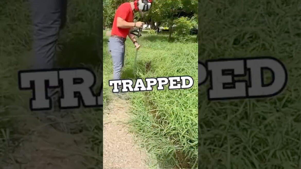 82 Year Old Man TRAPPED in His Own Home Until THIS Happened #lawncare  #shorts #satisfying #mowing