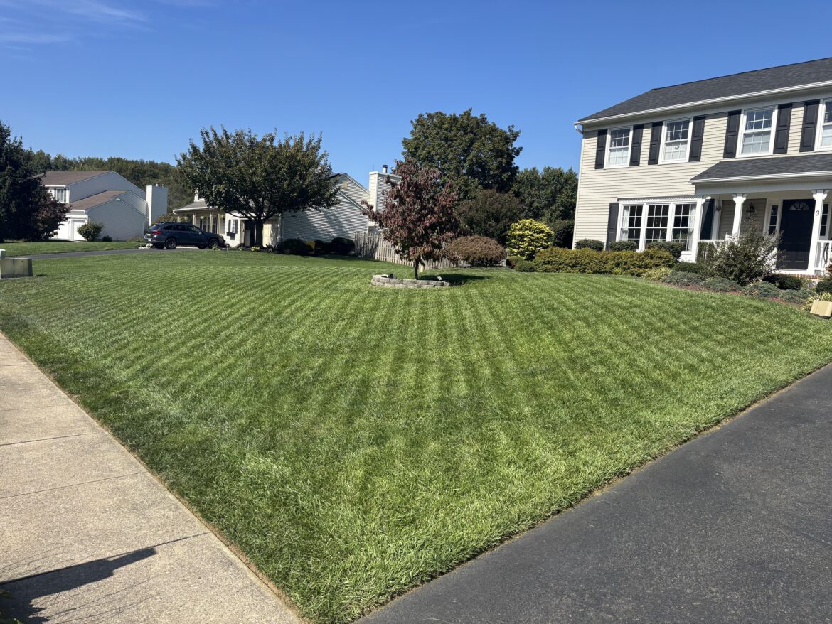 Was a little skeptical of getting a robot lawn mower but have been really happy with the results