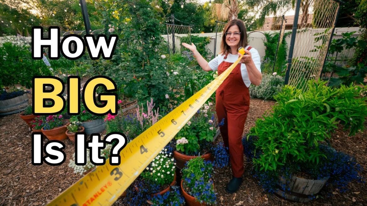 GARDEN TOUR: How I Use Every Part of My Yard and Garden