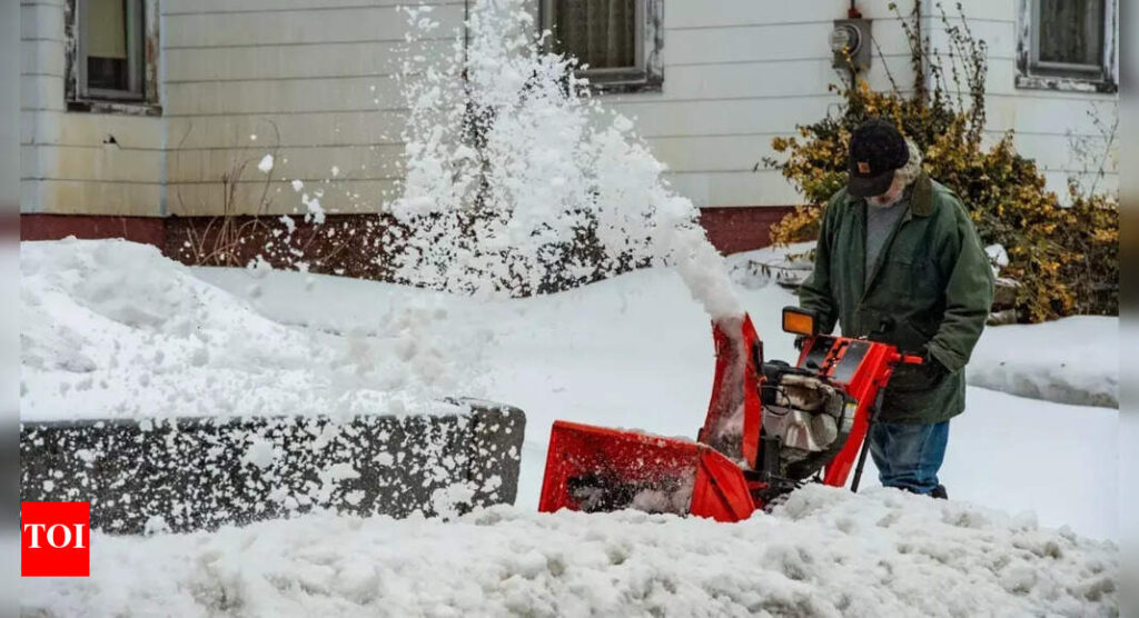 Winter weather warnings issued in 8 states with up to 9 inches of snow; how to save your garden from the snow Winter weather warnings issued in 8 states with up to 9 inches of snow; how to save your garden from the snow