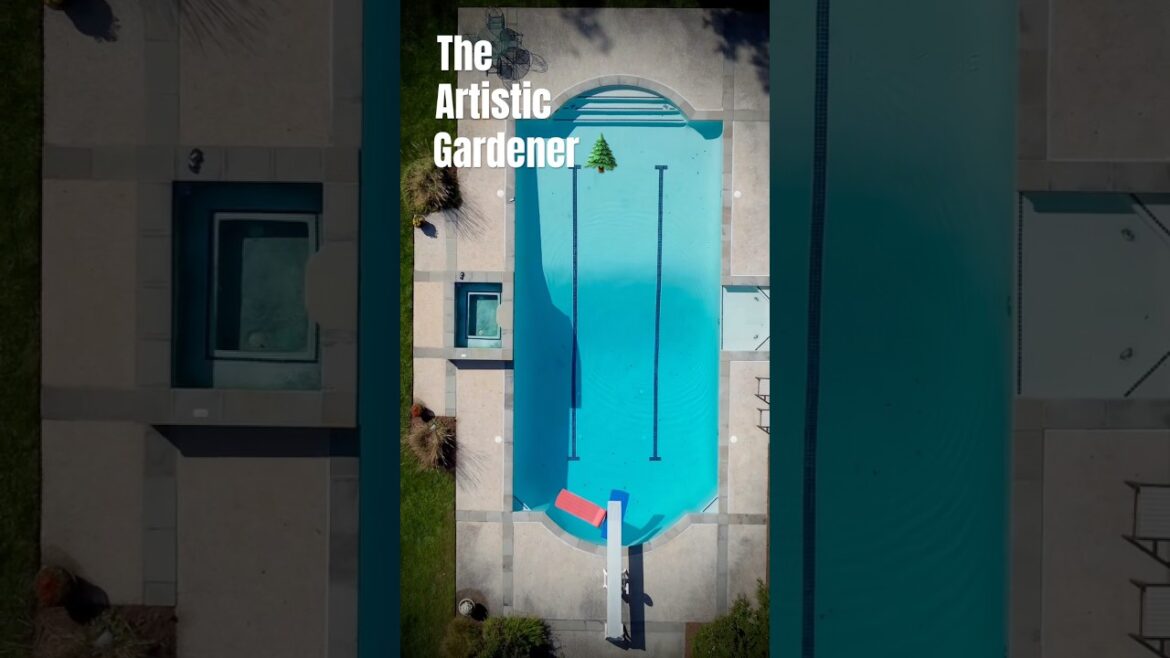 Backyard Courtyard Japanese Maple Makeover #garden #nature #landscape