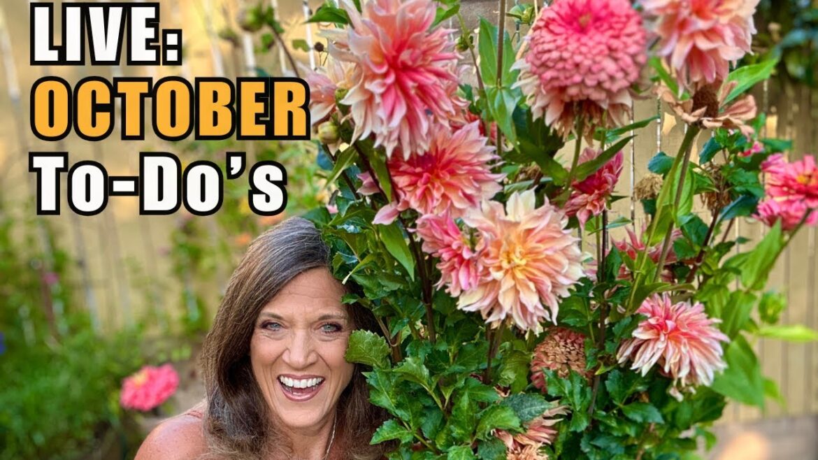 CaliKim: LIVE: October Garden To-Do List You Can’t Skip LIVE: October Garden To-Do List You Can’t Skip