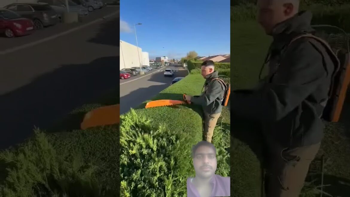 #shorts #shortvideo #beautifultools #garden #gardendesign