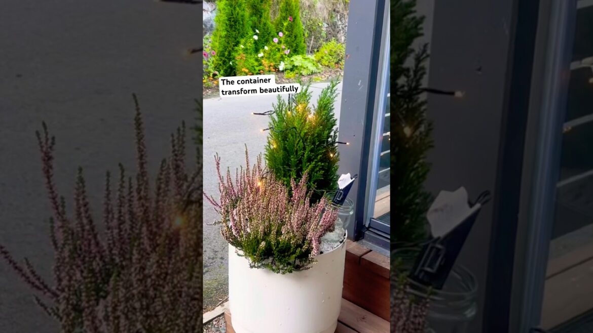 Autumn Porch Container Makeover #containergardening #gardenmakeover #backyardgarden