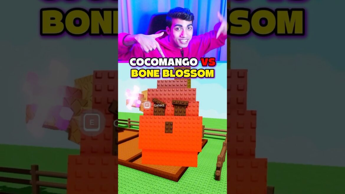 COCOMANGO VS BONE BLOSSOM GROW A GARDEN 😱 COCOMANGO VS BONE BLOSSOM GROW A GARDEN 😱