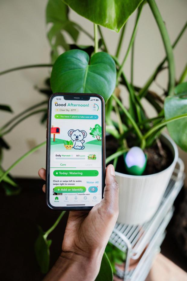 This undated image provided by FloraSense, Inc. shows a Flora Pod smart plant monitor inserted into the soil of a potted plant and plant-care instructions displayed on the gadget's accompanying mobile app. (FloraSense, Inc. via AP)