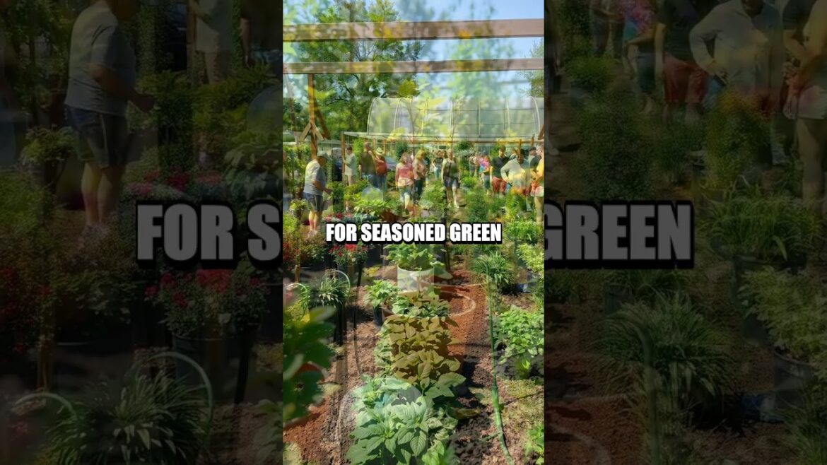 The Rise of AI-Enhanced Gardening Tools The Rise of AI-Enhanced Gardening Tools